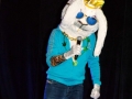DSC00952